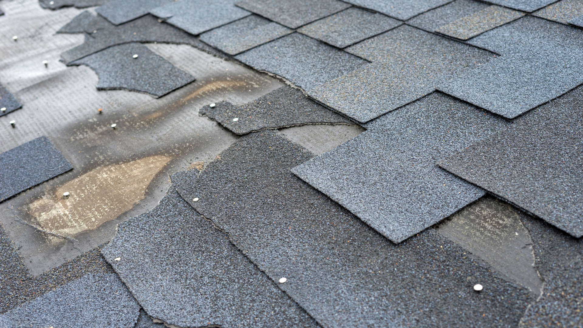 Nanaimo & Qualicum Beach Roof Repair